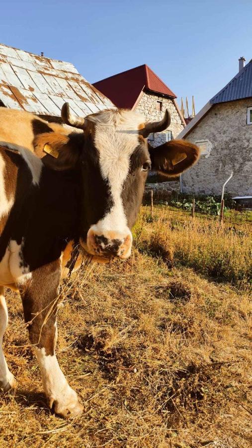 Natura As Gornji Lukomir Exterior foto