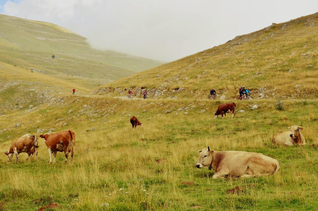 Natura As Gornji Lukomir Exterior foto